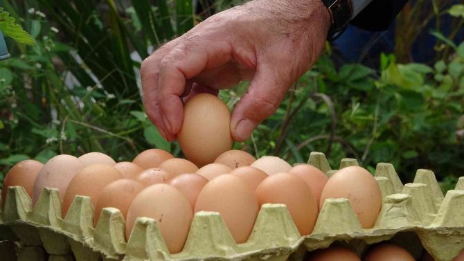 Uzunlar’dan ’Yumurta Fiyatı’ Açıklaması