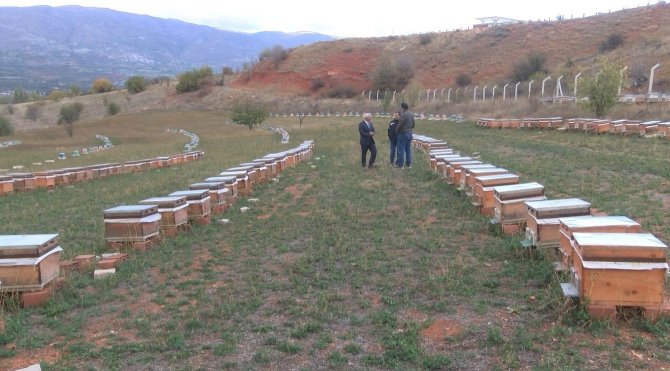 Korona Virüs Sonrası Talep Arttı, Litresi 2 Bin Lira