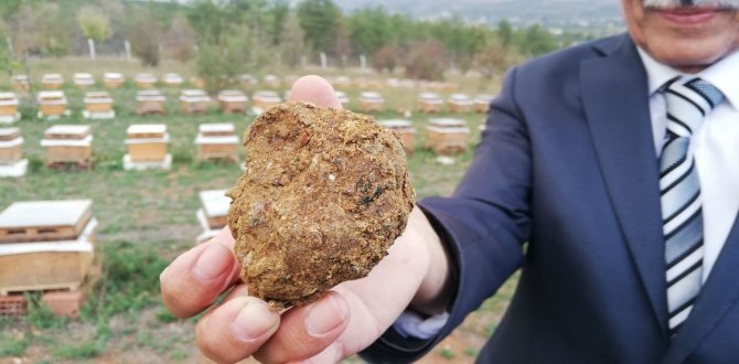 Korona Virüs Sonrası Talep Arttı, Litresi 2 Bin Lira