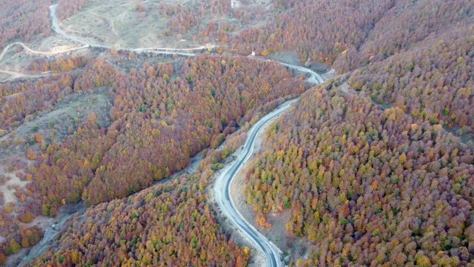 Yozgat Ormanlarında Renk Cümbüşü Havadan Görüntülendi