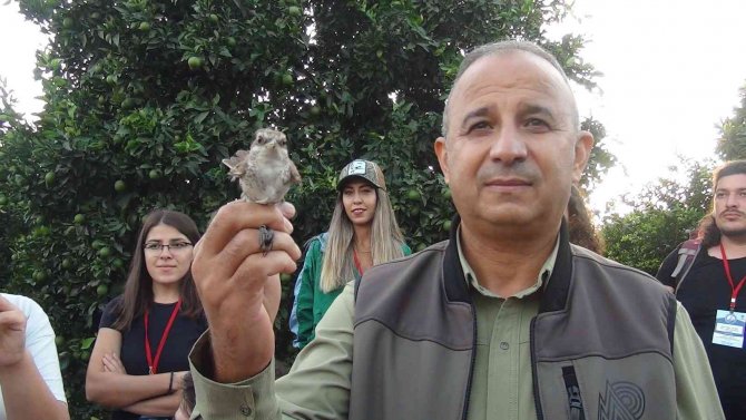 Üniversiteli Gençler, Doğada Kuşların Yaşamını Öğrenmek İçin Bir Araya Geldi