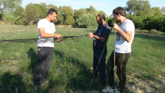 Üniversiteli Gençler, Doğada Kuşların Yaşamını Öğrenmek İçin Bir Araya Geldi