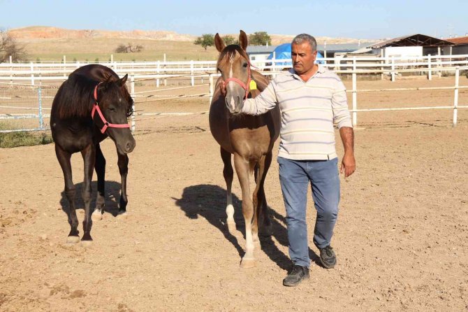 Mahmudiyeli Atçılar İdman Merkezinin Aktif Hale Getirilmesini İstiyor