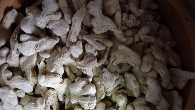 Doç. Dr. Gülin Renda: 