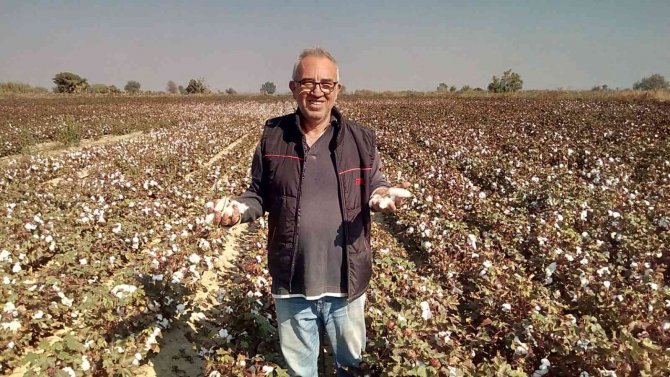 Beyaz Altın Pamuk Üreticisinin Yüzünü Güldürecek