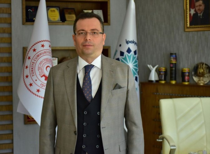4 Bin Yıllık Zeytine Kadın Eli Değdi