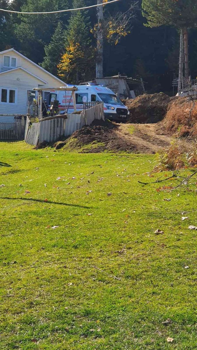 Yaylaya Çıkan Ambulans Vatandaşı Sevindirdi