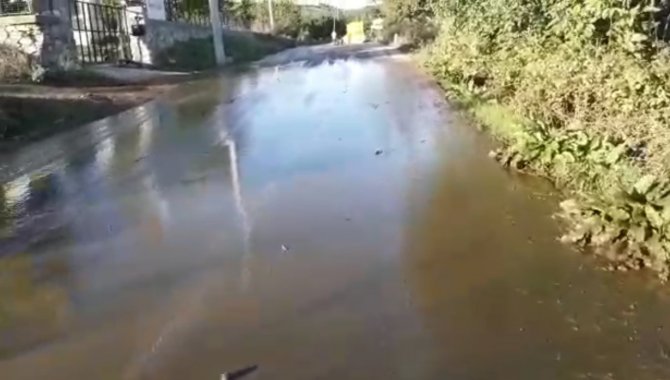 Ana Yoldan Dere Gibi Gübre Akıyor