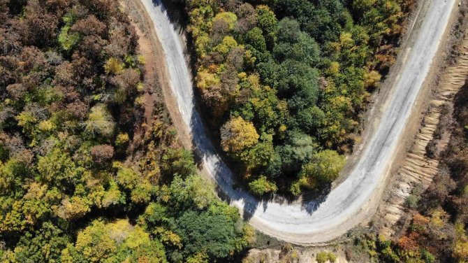 Istranca Ormanlarında Sonbahar Güzelliği
