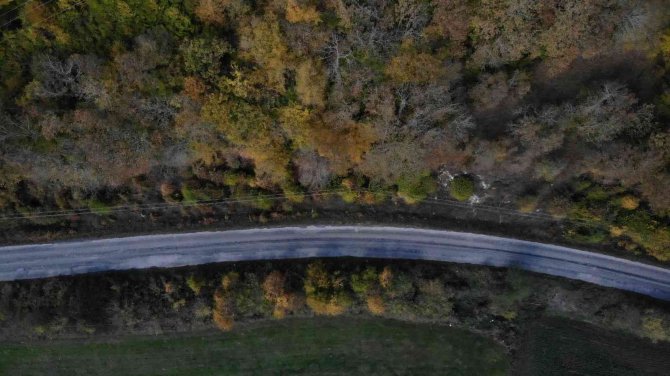 Istranca Ormanlarında Sonbahar Güzelliği