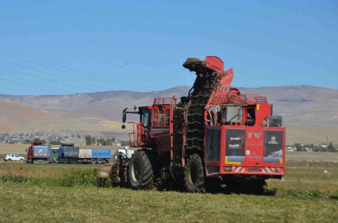 Muş’ta Çiftçilerin Tatlı Telaşı Devam Ediyor