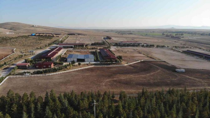 Mahmudiyeli Atçılar İdman Merkezinin Aktif Hale Getirilmesini İstiyor