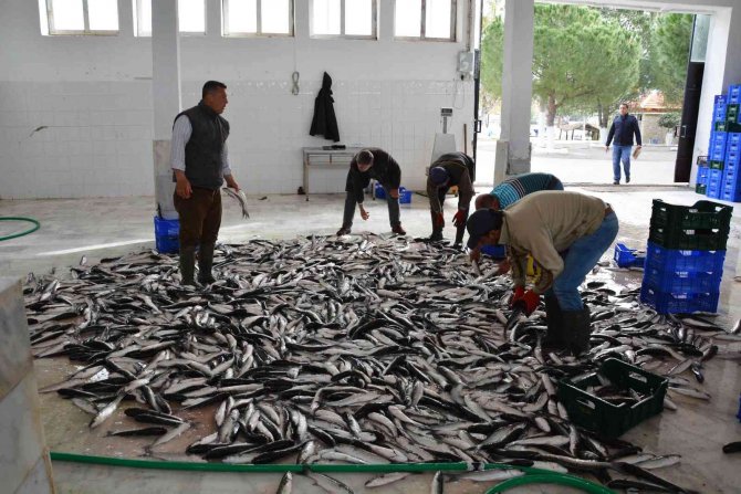 Muğla Eylül Ayında 69 Milyon 642 Bin Tl İhracat Yaptı