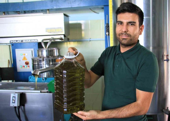 Zeytinyağının Zahmetli Ve Tatlı Biten Yolculuğu