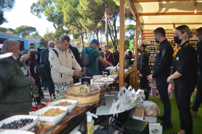 Ayvalık’ta 16. Uluslararası Zeytin Hasat Festivali Başladı