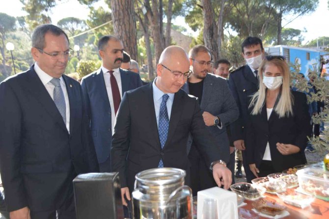 Ayvalık’ta 16. Uluslararası Zeytin Hasat Festivali Başladı