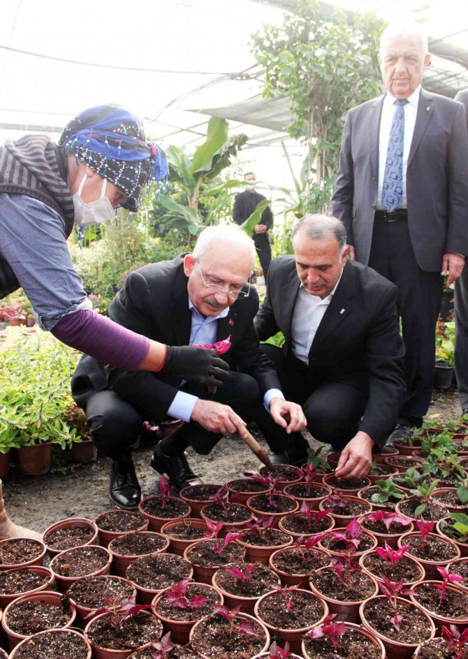 Chp Genel Başkanı Kılıçdaroğlu Kadınlarla Çiçek Dikti