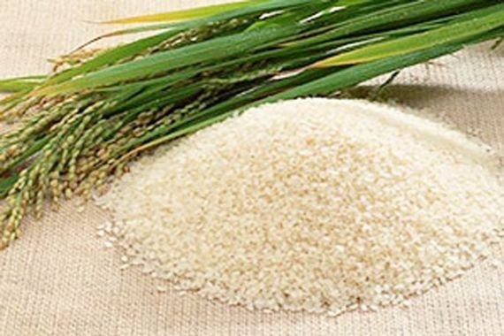 İ̇psala Pirincine Ab Coğrafi İşaret Tescil Başvurusu Yapıldı