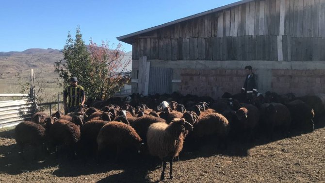 Çiftçinin 50 Yıllık Hayali Gerçek Oldu