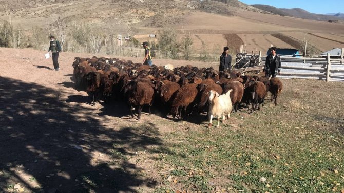 Çiftçinin 50 Yıllık Hayali Gerçek Oldu