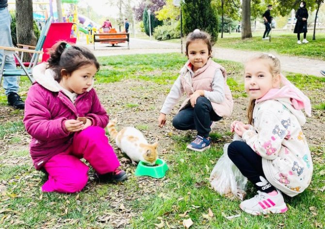 Sokak Hayvanları İçin Bir Araya Geldiler