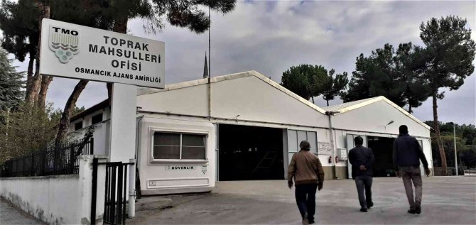 Tmo, Osmancık’da Çeltik Alımına Başladı