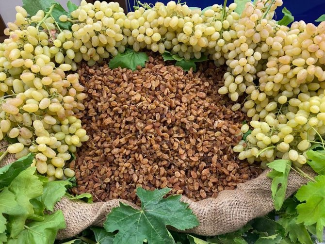 Kuru Üzüm İhracatçıları Son Tüketiciye Ürün Satmak İçin Kolları Sıvadı