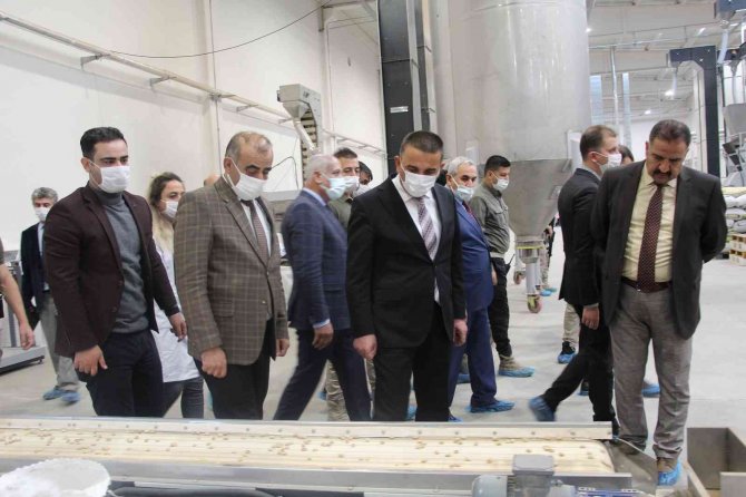 Siirt Fıstığı Dünya Pazarında Yerini Aldı