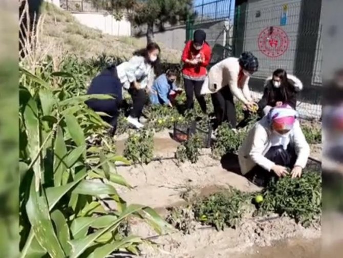 Yurt Bahçesi’nde Yetiştirilen Sebzelerle Turşu Yaptılar