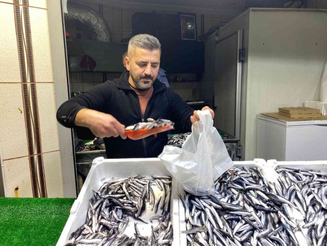 Tanesi 50 Liradan Satılan Palamut; Kırmızı Etle Rekabete Girdi