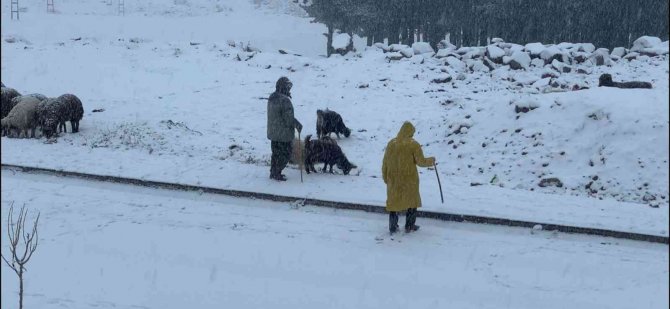 Sarıkamış’ta Etkili Olan Kar Yağışı Şehir Merkezini Beyaza Bürüdü
