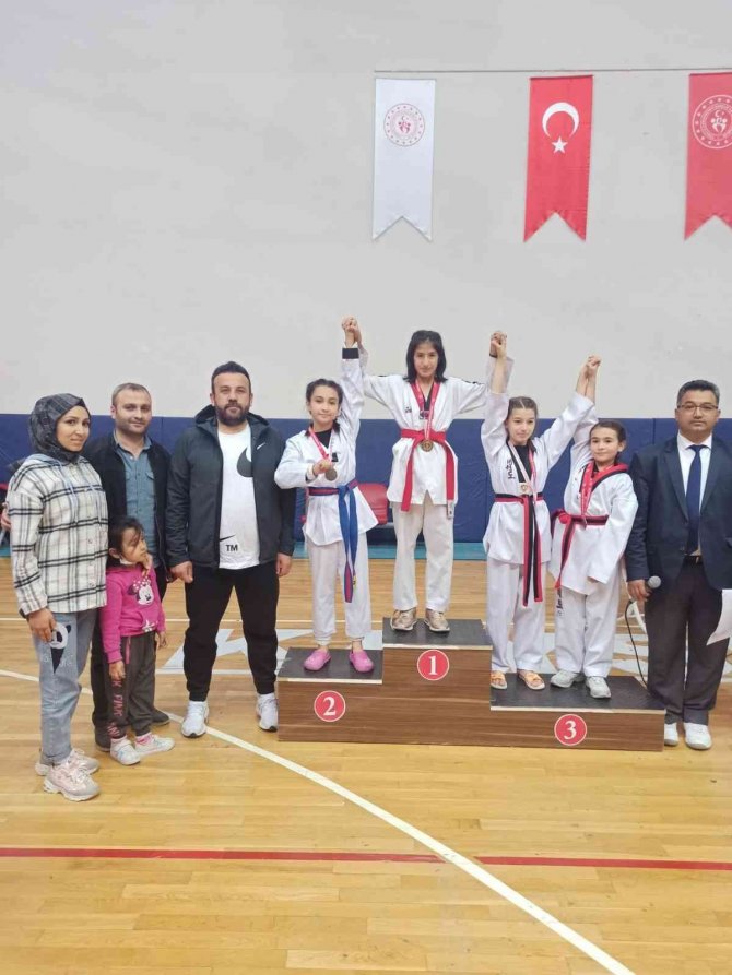 29 Ekim Cumhuriyet Kupası Taekwondo Müsabakaları Tamamlandı