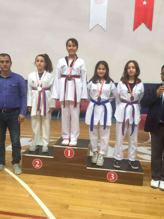29 Ekim Cumhuriyet Kupası Taekwondo Müsabakaları Tamamlandı