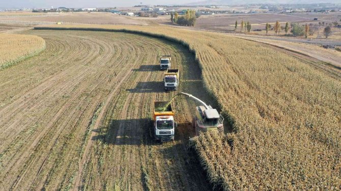 Ankara Büyükşehir Belediyesinden Hayvancılığa Destek