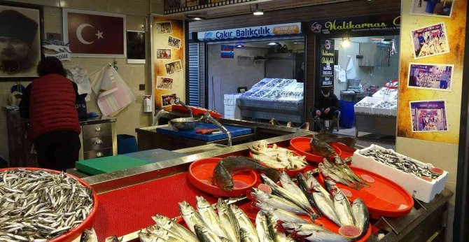 Kilosu 10 Tl’ye Kadar Düştü, Tuzlama Zamanı Geldi