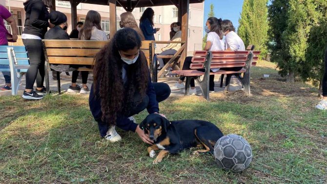 Bu Okulda Çocuklara Hayvan Sevgisi Aşılanıyor