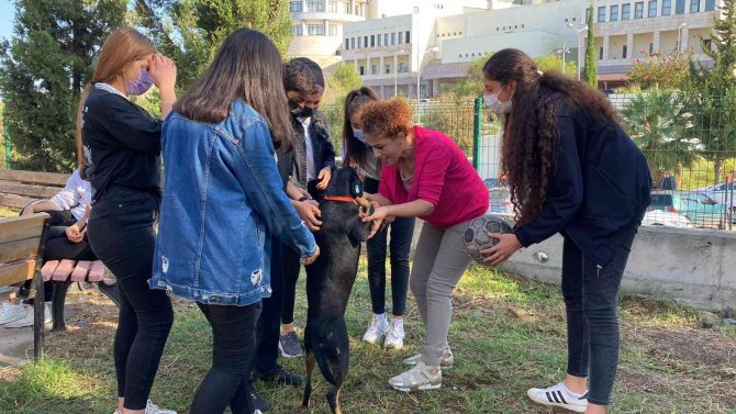 Bu Okulda Çocuklara Hayvan Sevgisi Aşılanıyor