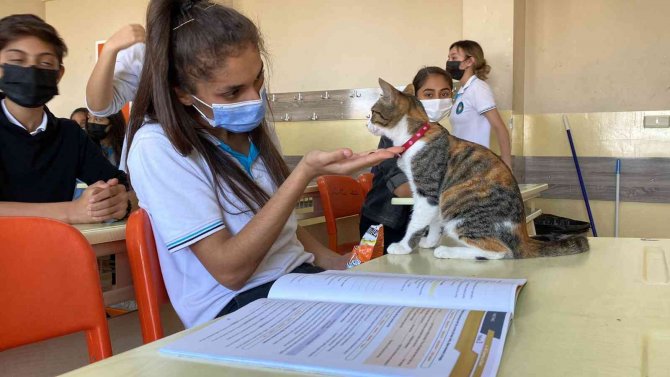 Bu Okulda Çocuklara Hayvan Sevgisi Aşılanıyor