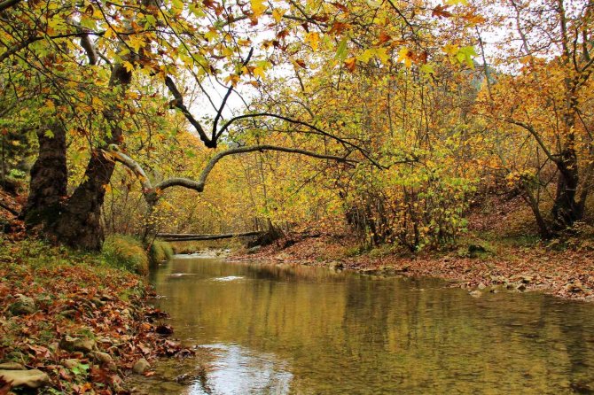 Kahramanmaraş’ta Cödden Vadisi Görenleri Büyülüyor