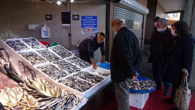 Kilosu 10 Tl’ye Kadar Düştü, Tuzlama Zamanı Geldi