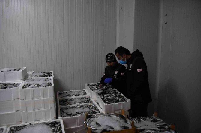 Kayseri’de Yasal Boy Limitinin Altında Bin 400 Kilo İstavrite El Konuldu