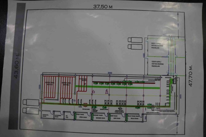 Samsun’da Artan Fiyatlar Etin Tadını Kaçırdı: Kıyma 75, Bonfile 130 Tl