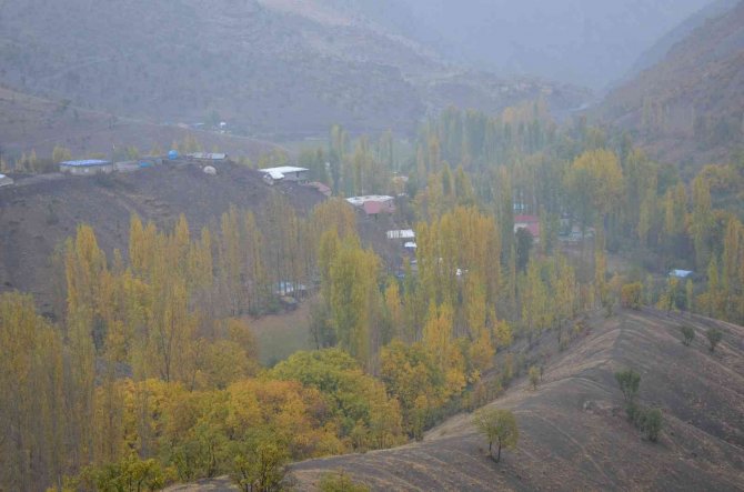 Şırnak’ta Karadeniz’i Aratmayan Manzara