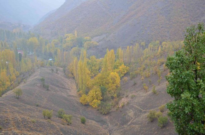 Şırnak’ta Karadeniz’i Aratmayan Manzara