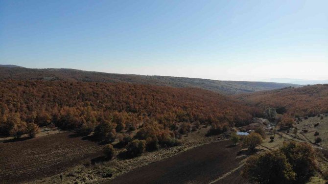 Bozdağ’dan Eşsiz Sonbahar Görüntüleri