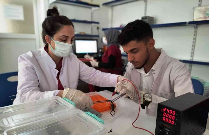 Şanlıurfa’dan Abd’ye 10 Milyon Dolarlık Zehir İhracatı