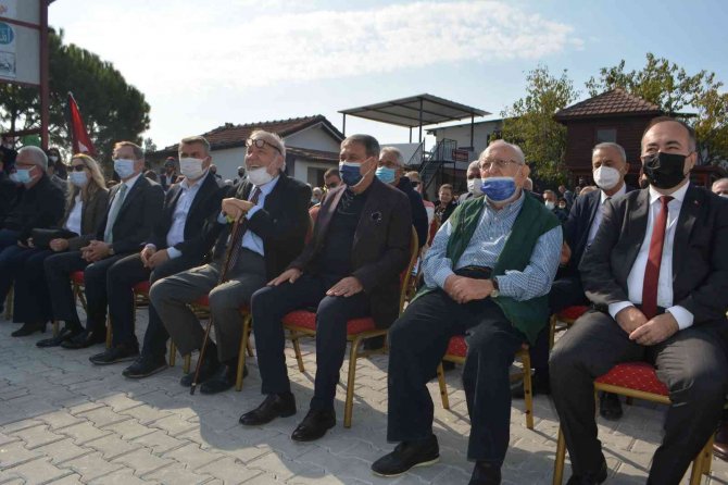 Ayvalık’ta Zeytin Festivali Kapsamında İlk Hasat
