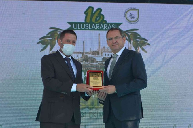 Ayvalık’ta Zeytin Festivali Kapsamında İlk Hasat