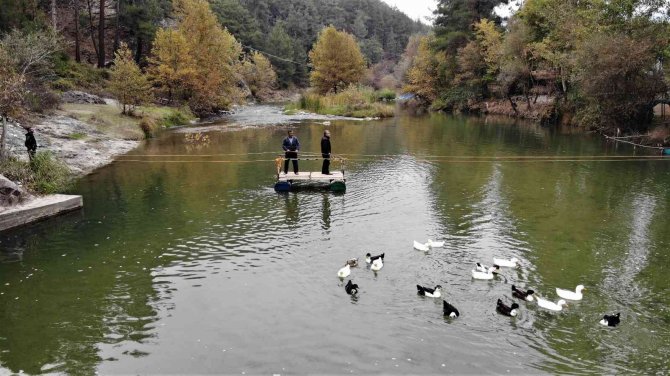 Şehirden Şehre Salla Yolculuk