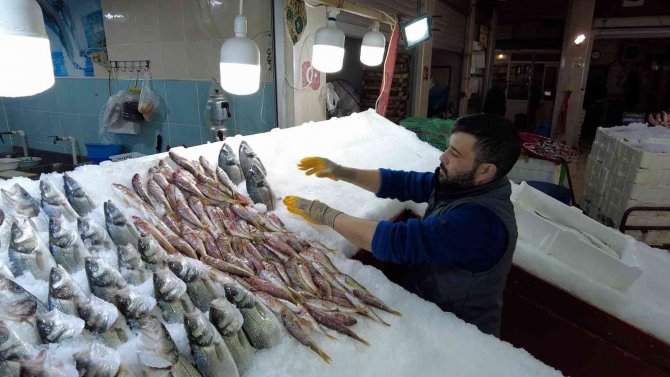 Balık Bolluğu Fiyatlara Da Yansıdı